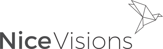 Nice Visions logo
